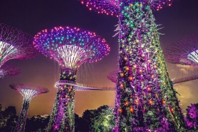 Singapore Gardens by the Bay & Jurassic World with Hotel Pick up - Cloud Forest: 35-meter glasshouse, orchids, and the indoor waterfall