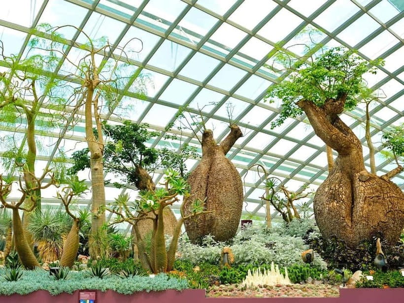 Singapore: Gardens by the Bay & Jurassic World with Pickup - Should you book Gardens by the Bay & Jurassic World with pickup?
