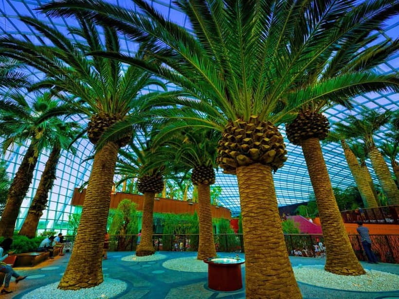 Singapore: Gardens by the Bay & Jurassic World with Pickup - Gardens by the Bay and Jurassic World: the real value of the 3-hour plan