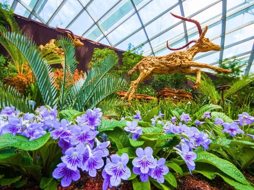 Singapore: Gardens by the Bay & Jurassic World with Pickup - Hotel pickup and timing: what makes it feel easy (and what can trip you up)