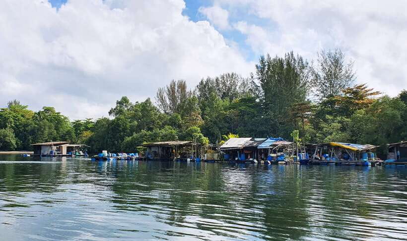 Singapore: Guided Boat Tour and Kelong Fish Farm Visit - Weather, Comfort, and the Poncho Plan