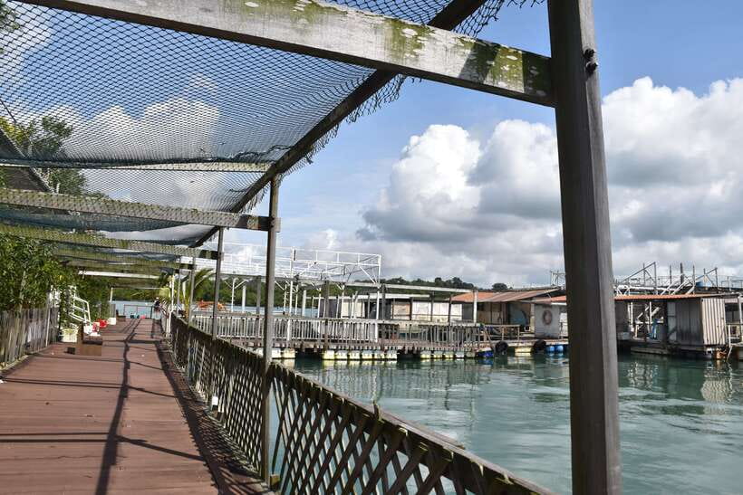 Singapore: Guided Boat Tour and Kelong Fish Farm Visit - Should you book this Kelong boat tour?