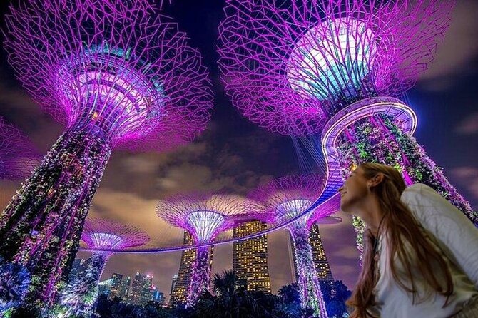 Singapore Guided Night Tour with 2 Light Shows & River Cruise - Clarke Quay to Merlion Park: river views plus quick photo history