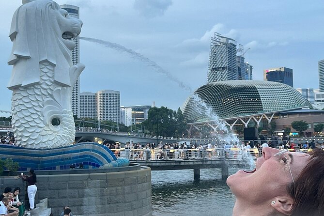 Singapore Guided Night Tour with 2 Light Shows & River Cruise - Price and logistics: what you’re really buying for $60.45