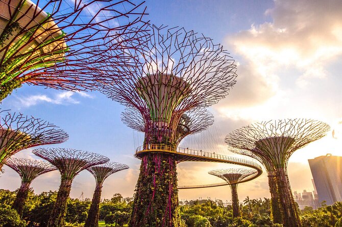 Singapore Half Day City Tour w Skypark and Gardens By The Bay - Key Highlights You Should Know