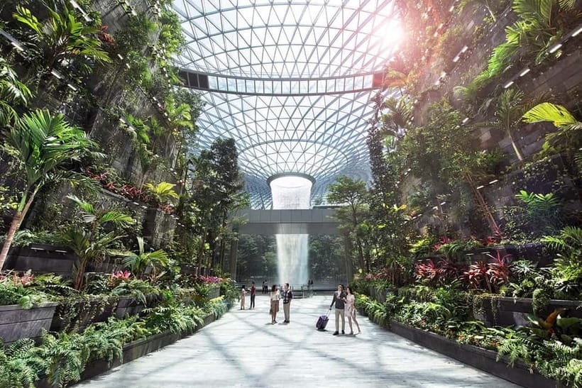 Singapore: Jewel Changi Airport Attraction Ticket - Foggy Bowls and the hedge maze: play, pause, and problem-solve