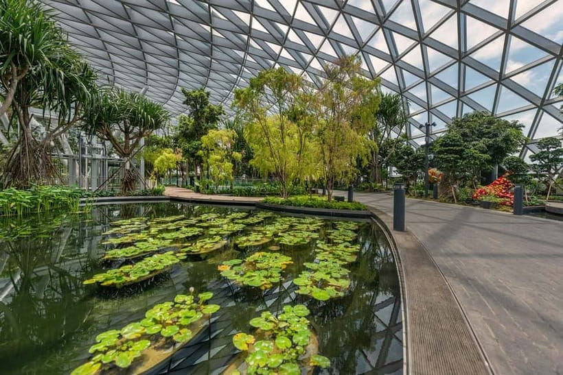Singapore: Jewel Changi Airport Attraction Ticket - Mastercard Canopy Bridge (23m): photos, pacing, and one closure to watch
