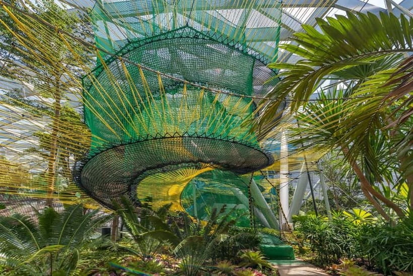 Singapore: Jewel Changi Airport Attraction Ticket - Timing it right: Canopy Park hours and how to plan a full day