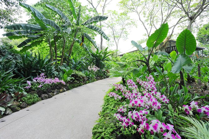 Singapore Morning City Tour - Singapore Botanic Gardens and National Orchid Garden: The Best Use of Your Time