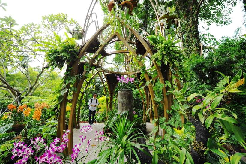 Singapore: National Orchid Garden Admission - Key Highlights You’ll Actually Use