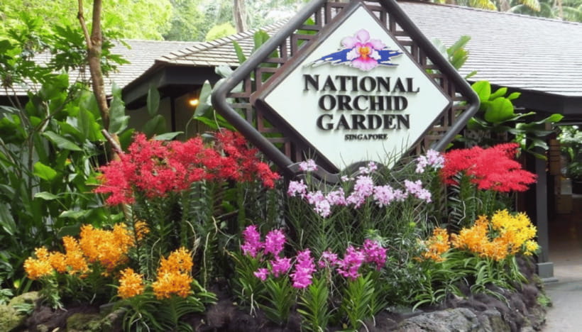 Singapore: National Orchid Garden Admission - More Than Blooms: What the Exhibits Add