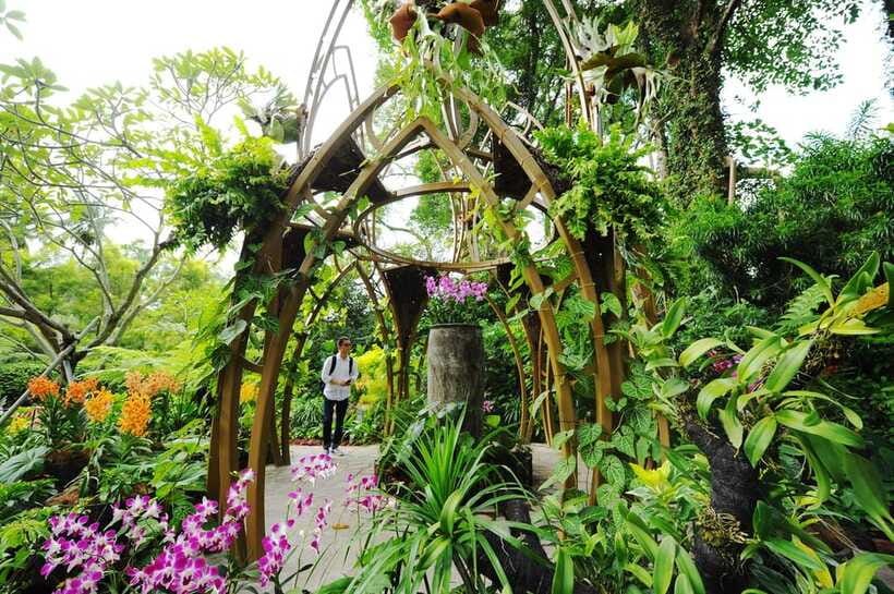 Singapore: National Orchid Garden Admission - How to Pace a Self-Guided Orchid Day