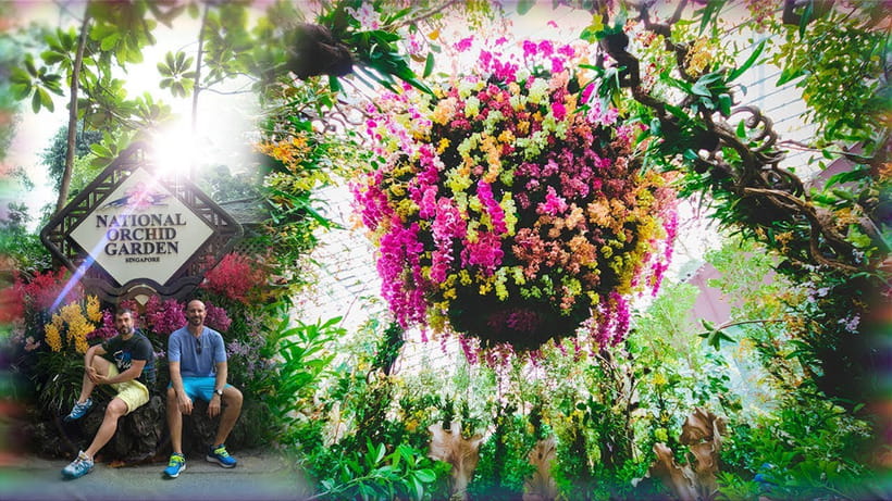 Singapore: National Orchid Garden Admission - Where Souvenirs Fit In (Without Killing Your Time)