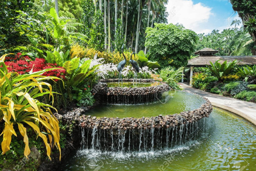 Singapore: National Orchid Garden Admission - Value Check: Is It Worth Booking?