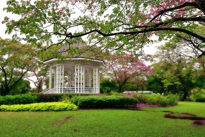 Singapore: National Orchid Garden Admission Ticket - Key Highlights You’ll Care About