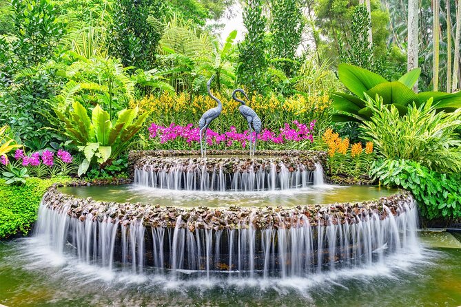 Singapore: National Orchid Garden Admission Ticket - National Orchid Garden Admission: What This Ticket Really Gives You