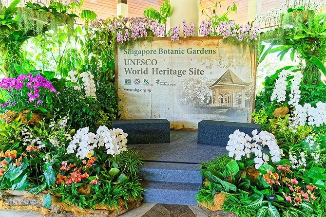 Singapore: National Orchid Garden Admission Ticket - Price and Value: Is $7.77 Worth It?