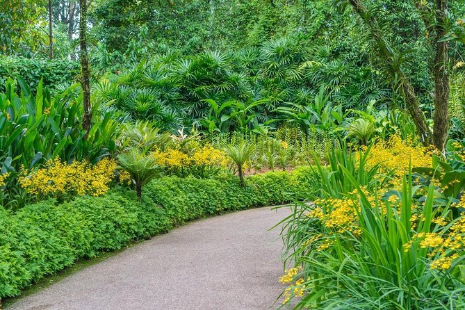 Singapore: National Orchid Garden Admission Ticket - Ticket Entry Reality Check: Mobile Tickets, QR Codes, and Official Timing