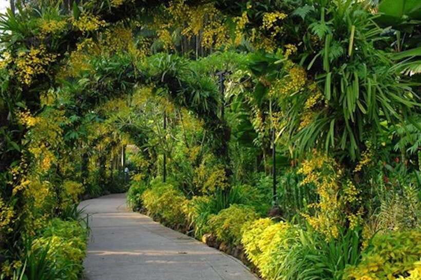 Singapore: National Orchid Garden Entry Tickets - Spring, Summer, Autumn, Winter: what to actually look for