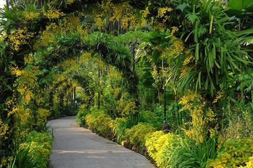 Singapore: National Orchid Garden Entry Tickets - Who this is best for (and who should think twice)