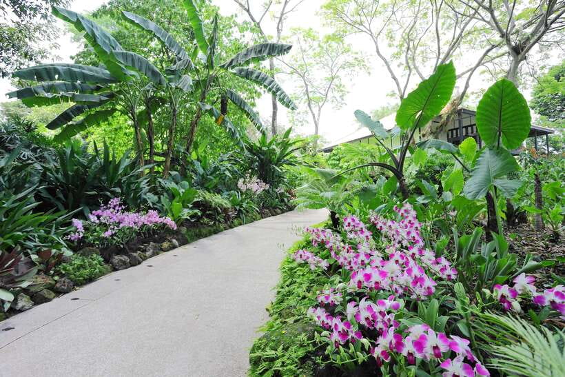 Singapore: National Orchid Garden Entry Tickets - Finding the garden inside Singapore’s Botanic Gardens
