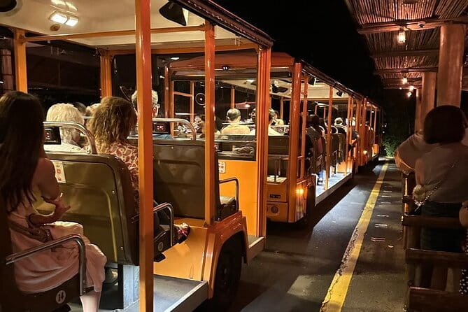Singapore Night Safari - Tram vs walking trails: the best combo for seeing more