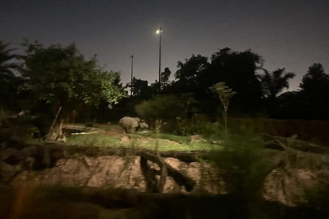 Singapore Night Safari - Animals you can actually look for