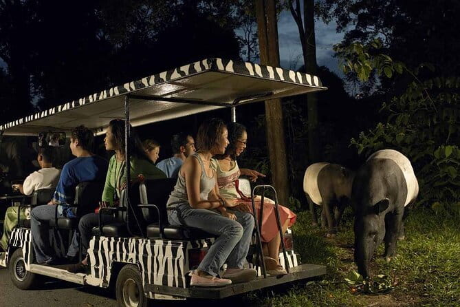 Singapore: Night Safari Entry Ticket - Night Safari at Mandai: Why It’s Worth Your Evening