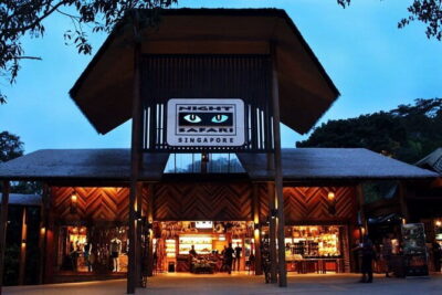 Singapore: Night Safari Entry Ticket - What 4 Hours Feels Like Inside the Night Safari