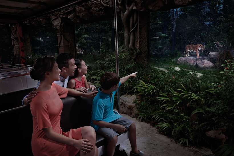 Singapore: Night Safari Entry Ticket with Tram Ride - Leopard Trail: Close-Up Viewing Without the Daytime Rush