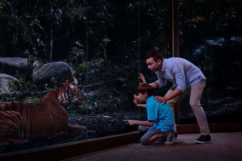 Singapore: Night Safari Entry Ticket with Tram Ride - Creatures of the Night Show and Twilight Performance: A Perfect Mid-Route Break