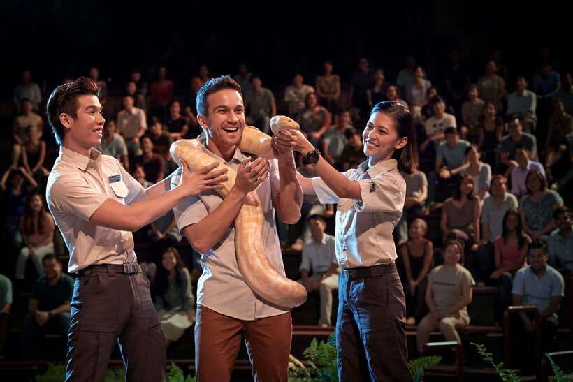 Singapore: Night Safari Singapore Entry Ticket + Tram Ride - How to pace your evening for the best value