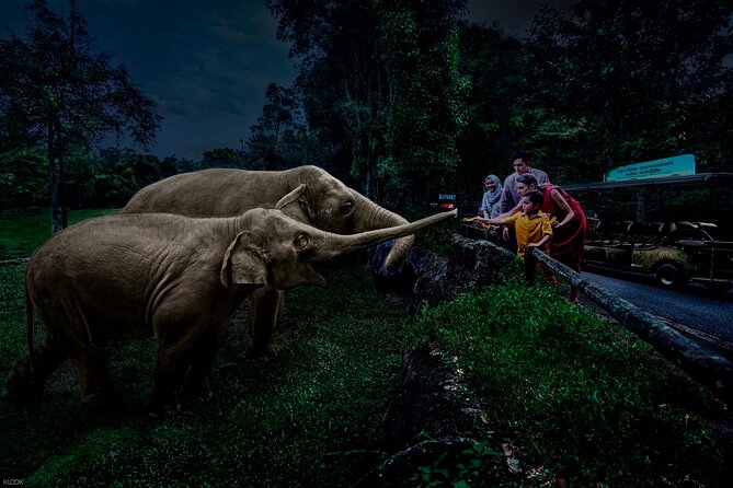 Singapore Night Safari Ticket Experience - Quick Hits: What Makes This Night Safari Ticket Worth Your Evening