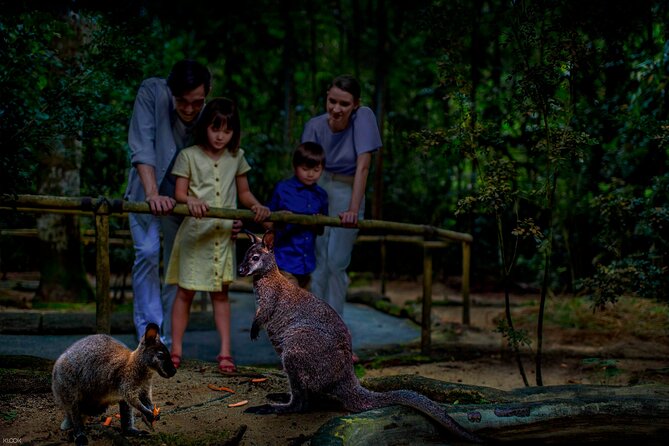Singapore Night Safari Ticket Experience - Creatures of the Night Show: Predators, Survival Skills, and a Better Understanding