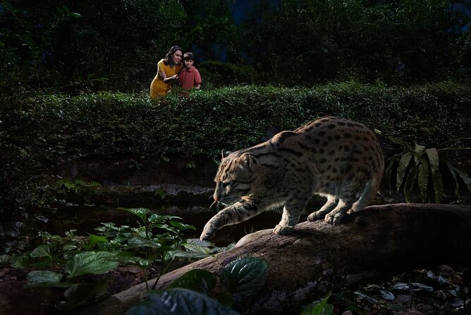 Singapore Night Safari Ticket Experience - Timing and Duration Reality Check: How to Plan a Short Night Safari Slot