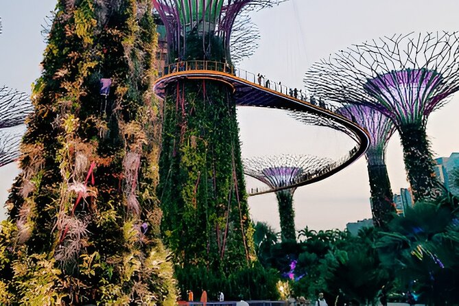 Singapore OCBC Skyway Flower dome Cloud Forest Garden by the Bay - Key things I’d note before you go