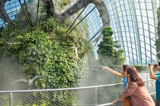 Singapore OCBC Skyway Flower dome Cloud Forest Garden by the Bay - Floral Fantasy add-on: the extra ticket for indoor floral art