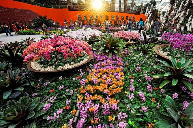 Singapore OCBC Skyway Flower dome Cloud Forest Garden by the Bay - Price, pacing, and practical tips for your 8-to-9-hour day