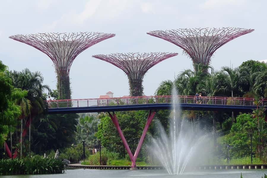Singapore: Private Customizable Singapore Tour - How Customization Works When There’s No Tour Guide