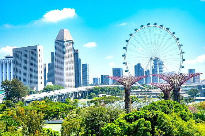 Singapore Private Customized City Tour with Driver - Price and value: what $81.15 actually covers