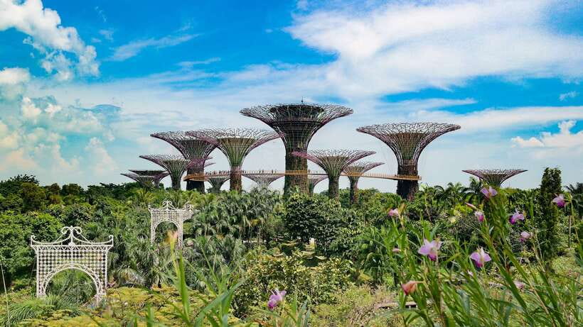 Singapore: Private Flexible Tour with a Licensed Local Guide - Key highlights that make this tour work in real life