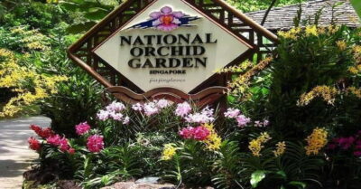 Singapore: Private Full-Day Island Tour - Little India Town: color, community, and a sense of continuity
