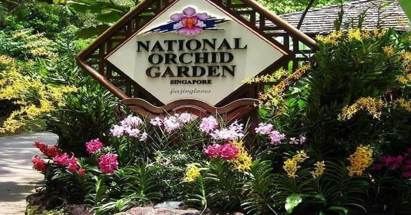 Singapore: Private Full-Day Island Tour - Little India Town: color, community, and a sense of continuity