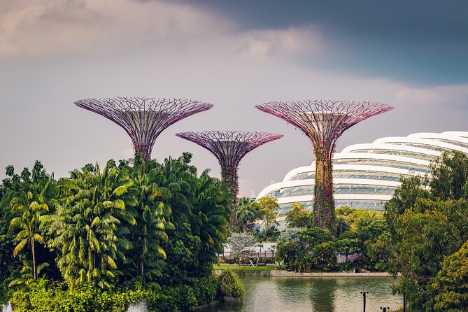 Singapore Private Professional Photoshoot at Gardens by the Bay - Price and Value for Up to 8 People