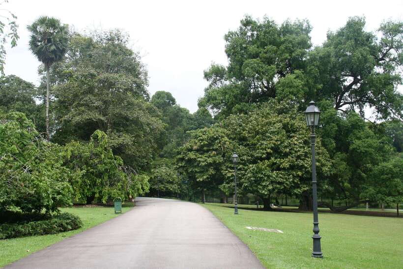 Singapore: Private Tour with a Driver - Botanic Gardens, National Gallery, and Jewel Changi for variety without chaos