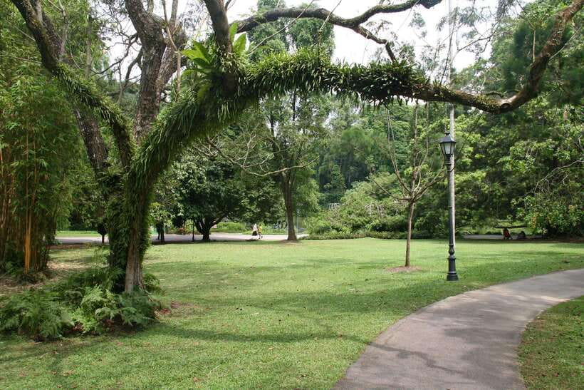 Singapore: Private Tour with a Driver - Pulau Ubin and MacRitchie Reservoir when you want the green side