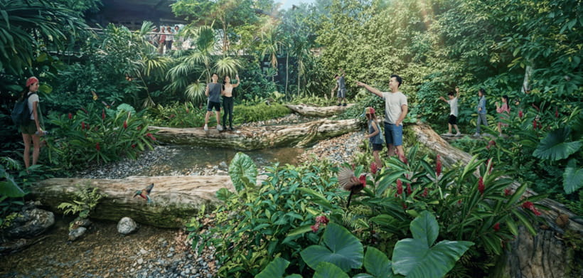 Singapore: Rainforest Wild Asia Entry Ticket - The thrill stops: canopy jumps and Mulu-inspired cave adventures