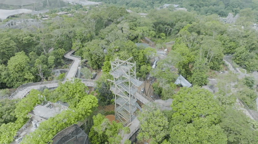 Singapore: Rainforest Wild Asia Entry Ticket - Quick planning tips so your day goes smoother