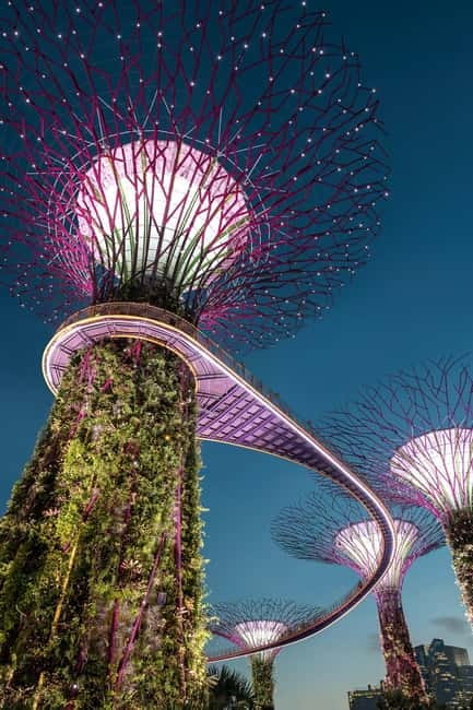 Singapore River Cruise, Garden Rhapsody & Spectra by CYT - Singapore River Cruise: Historic Quays Meet Evening City Light