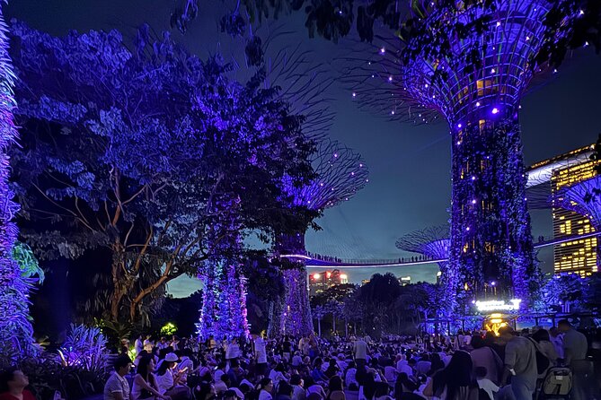 Singapore River Cruise, Night Garden Rhapsody and Spectra Tour - Key highlights worth your attention
